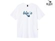 画像1: BLAZE SUPPLY ブレイズサプライ BLAZE SMOKE WHITE Tシャツ (1)