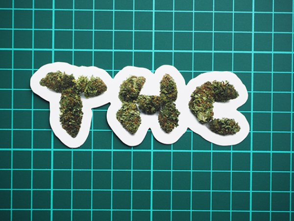 THC ステッカー THC | 通販ヘッドショップのバズモンタージュ