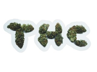 THC ステッカー WEED DIME BAG | 通販ヘッドショップのバズモンタージュ