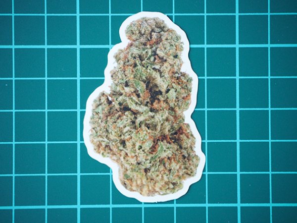 THC ステッカー Super Skunk Nug | 通販ヘッドショップのバズモンタージュ