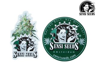 SENSI SEEDS センシシード センシシーズ Tシャツ WHITE | 通販ヘッドショップのバズモンタージュ