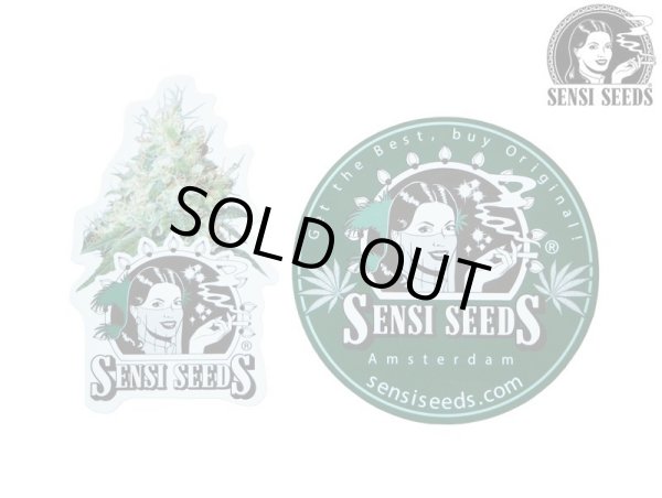 画像1: SENSI SEEDS センシシード センシシーズ マグネット 2枚セット (1)