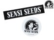 画像1: SENSI SEEDS センシシード センシシーズ ステッカー 2枚セット A (1)