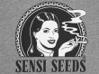 画像3: SENSI SEEDS センシシード センシシーズ Tシャツ GREY (3)