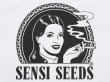 画像3: SENSI SEEDS センシシード センシシーズ Tシャツ WHITE (3)