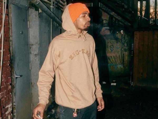 画像3: ZIG ZAG LOGO HOODIE ジグザグ ロゴ オフィシャル フーディー パーカー デザート (3)