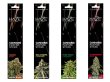 画像4: HAZE CANNABIS INCENSE STICKS ヘイズ カンナビス インセンス スティック (4)