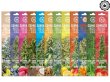 画像1: CANNABIS INCENSE STICKS カンナビス インセンス スティック (1)