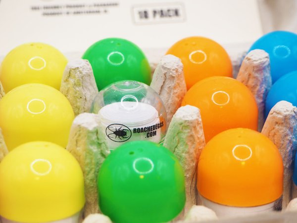 画像4: COCK ROACH EGG コックローチ エッグ フィルター ティップス ローチ (4)