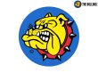 画像1: THE BULLDOG AMSTERDAM ブルドッグ アムステルダム コーヒーショップ ステッカー (1)