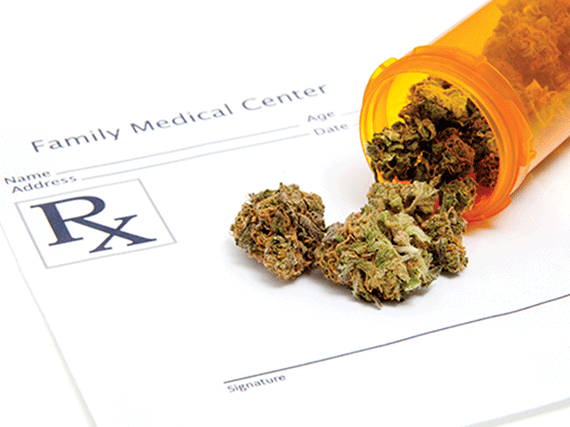 腕時計 隠し場所 スタッシュ 大麻 カンナビスカップ ウィード
